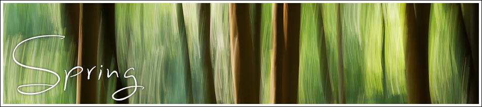 gallery_spring