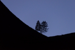 Wake Me Up in the Evening